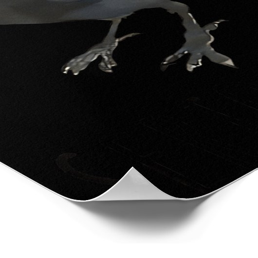 Poster Seriously Funny Crow Sarcastic Quote (Coin)