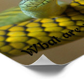 Poster Serpent (Coin)