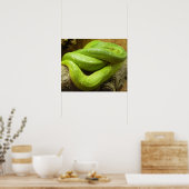 Poster Serpent (Cuisine)