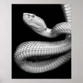Poster Serpent (Devant)