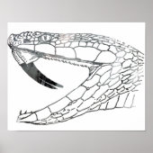 Poster serpent 6,png (Devant)