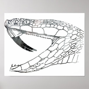 Poster serpent 6,png
