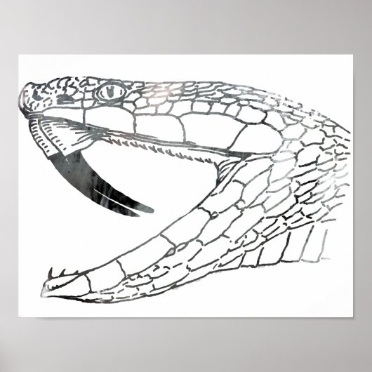 Poster serpent 6,png (Devant)