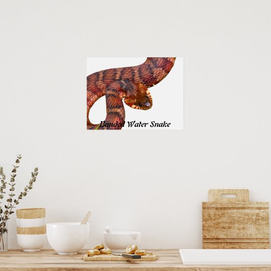 Poster Serpent à eau baignée (Cuisine)