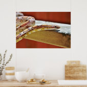 Poster Serpent à maïs rouge coulissant (Cuisine)