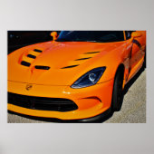 Poster Serpent Bitten (Devant)