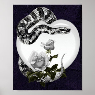 Poster Serpent Coeur gothique Rose blanche de Saint-Valen
