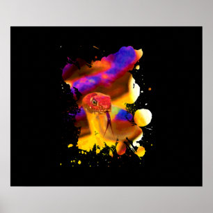 Poster Serpent coloré