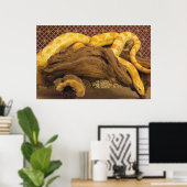 Poster Serpent de maïs albinos (Bureau à domicile)