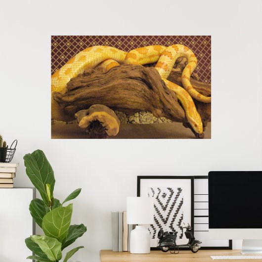 Poster Serpent de maïs albinos (Bureau à domicile)