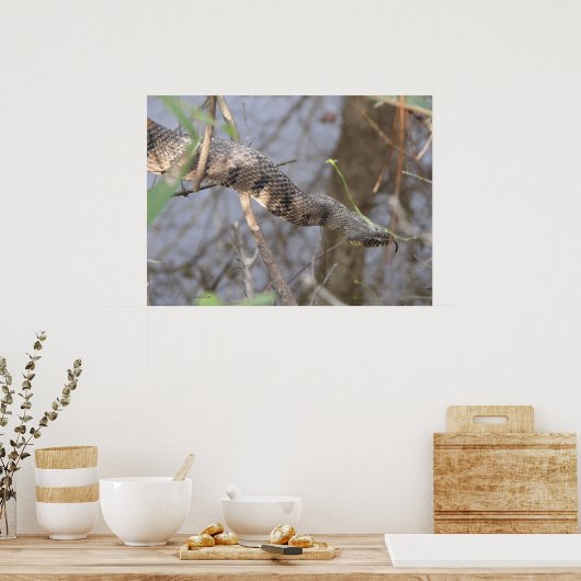 Poster Serpent d'eau (Cuisine)