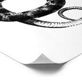 Poster Serpent d'eau à ventre clair noir (Coin)