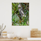 Poster Serpent d'eau du Nord reposant sur le journal de p (Cuisine)