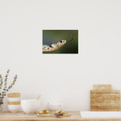 Poster Serpent d'herbe (Cuisine)