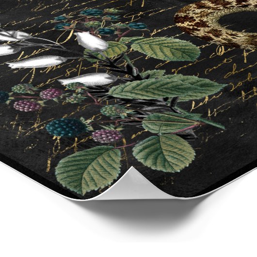 Poster Serpent et baies (Coin)