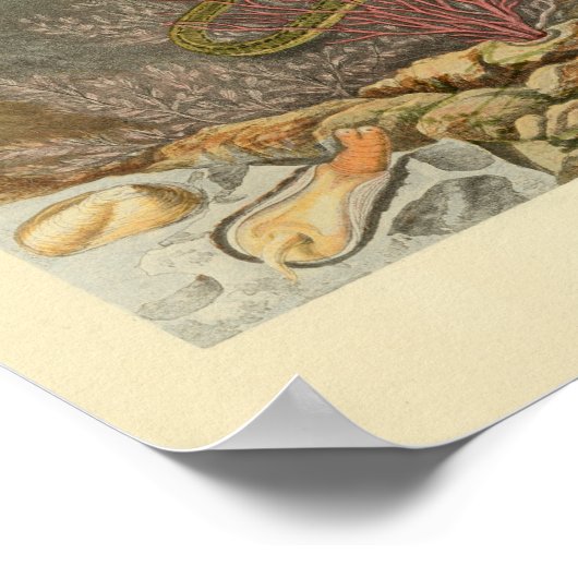 Poster Serpent marin Corail Ocean Life Imprimer (Coin)