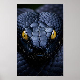 Poster Serpent Noir