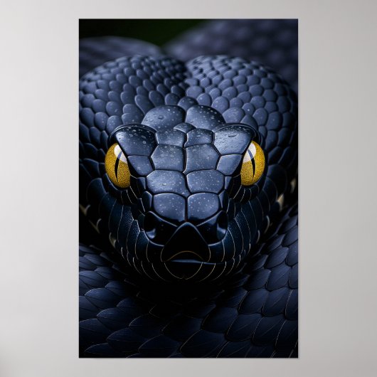 Poster Serpent Noir (Devant)