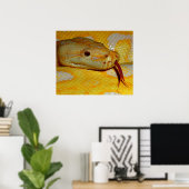 Poster Serpent python alboino-birman (Bureau à domicile)