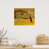 Poster Serpent python alboino-birman (Cuisine)