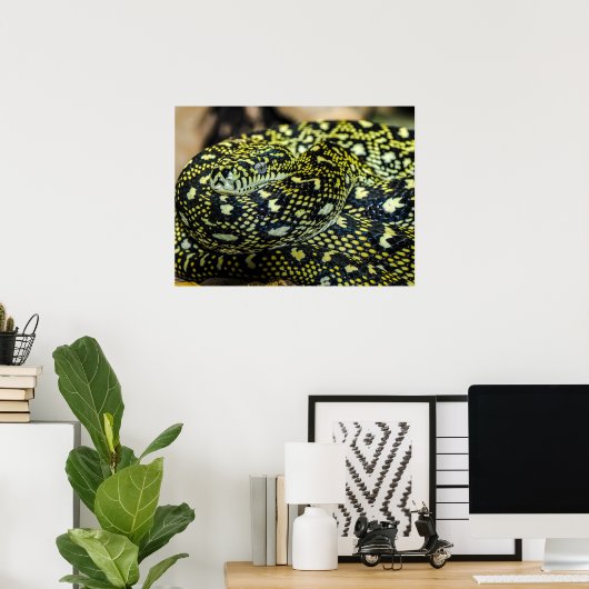 Poster Serpent Python de Tapis Jungle (Bureau à domicile)