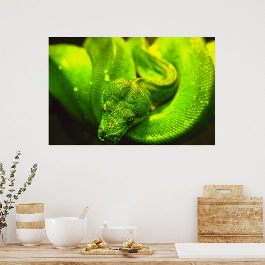 Poster Serpent vert brut - (Cuisine)