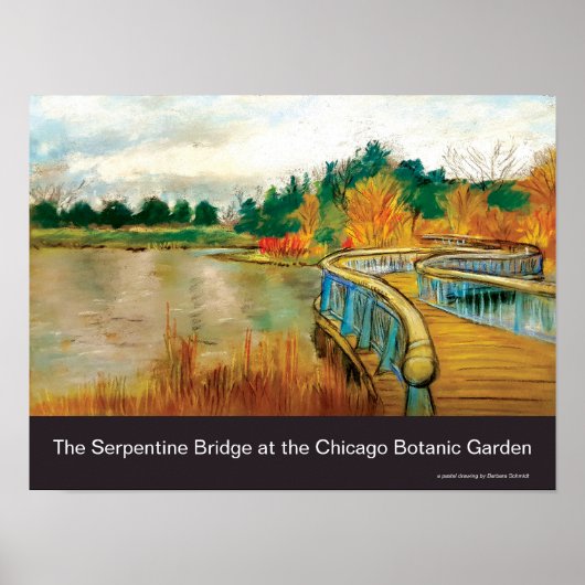 Poster Serpentine Bridge au Chicago Botanic Garden (Devant)