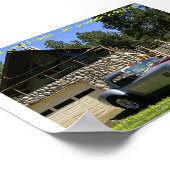 Poster SerpentNGrass (Coin)