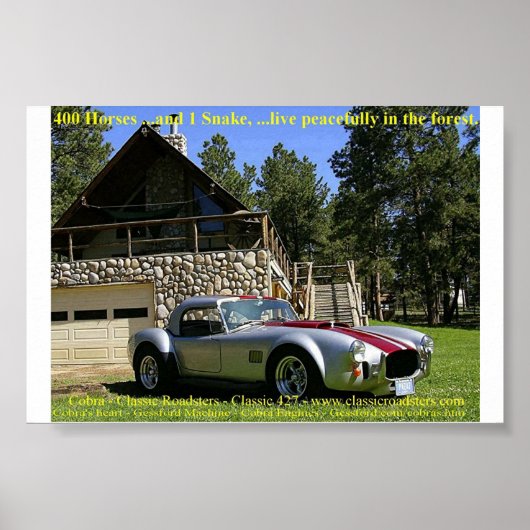 Poster SerpentNGrass (Devant)