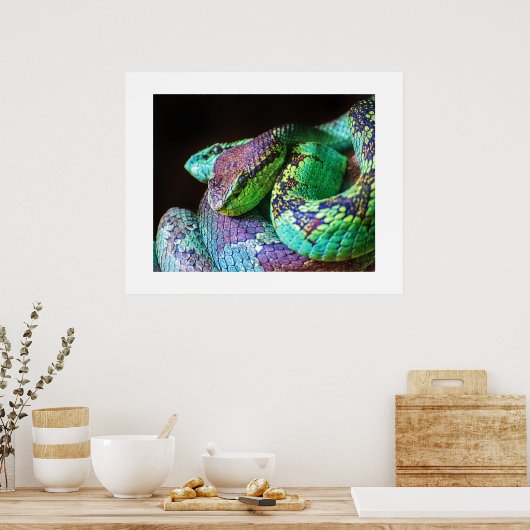 Poster Serpents colorés (Cuisine)