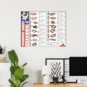 Poster Serpents venimeux du Texas Poser par le NNTRC (Bureau à domicile)