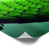 Poster Serpents verts (Coin)