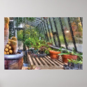 Poster Serre - Dans une fenêtre de serre