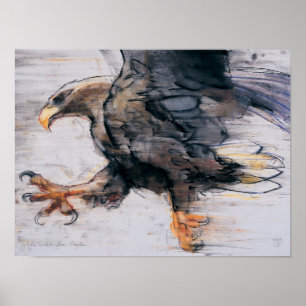 Poster Serres - mer Eagle coupée la queue par blanc 2001