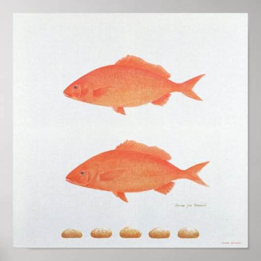 Poster Sert Cinq Mille 2005 (Devant)