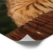 Poster Serval Savannah Kitten USA Canvas Imprimer (Coin)