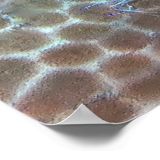 Poster Service de nettoyage (Coin)