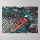 Poster Service de nettoyage (Devant)