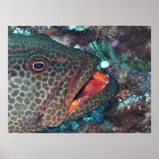 Poster Service de nettoyage (Devant)