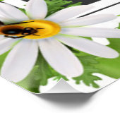 Poster Service d'entretien de pelouse naturelle Promo Dan (Coin)