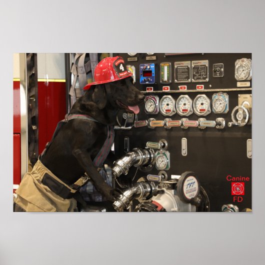 Poster Service d'incendie canin (Devant)