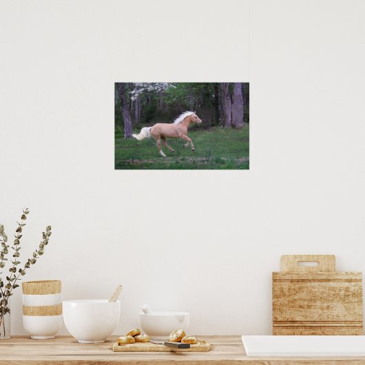 Poster Service gratuit (Cuisine)