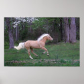 Poster Service gratuit (Devant)