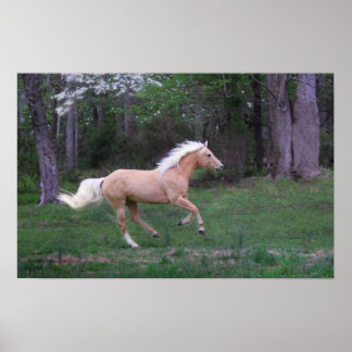 Poster Service gratuit