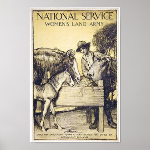 Poster Service national Vintage Recrutement de femmes dan
