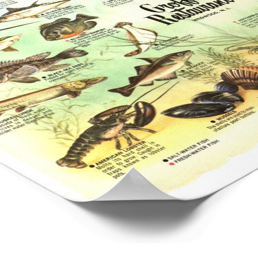 Poster Set de table Groffs 8x10 (Coin)