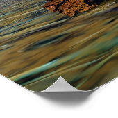 Poster Set in Stone (Coin)