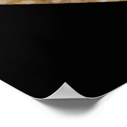 Poster Seth God of Chaos (Coin)