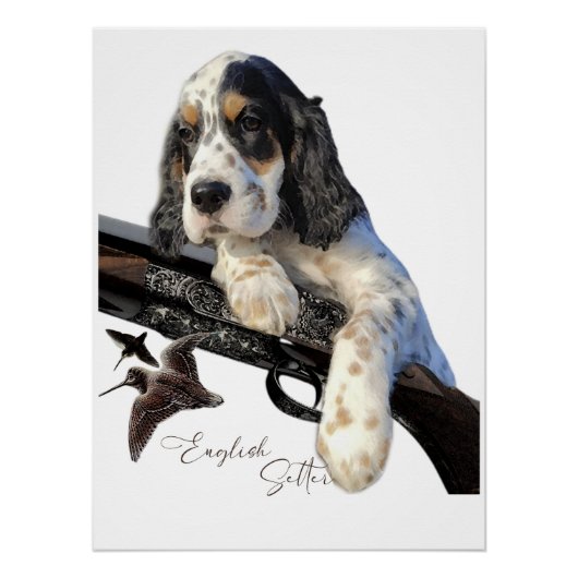 Poster Setter anglais, mignon chiot (Devant)