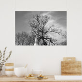 Poster seul (Cuisine)